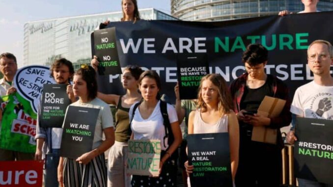 Screenshot_20230713-022522