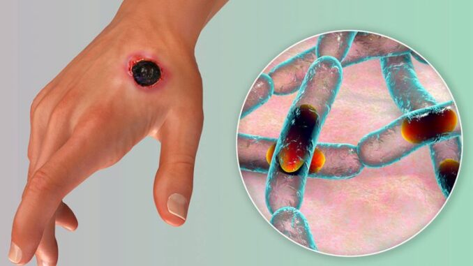 shutterstock_1922226149_h1-768x512