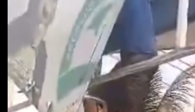 Screenshot_20240126-022434