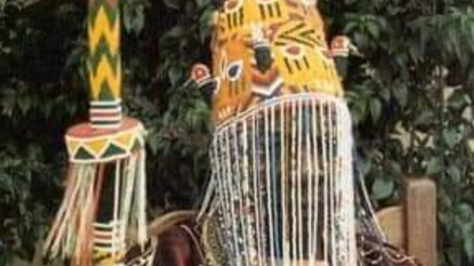 Screenshot_20240202-005339