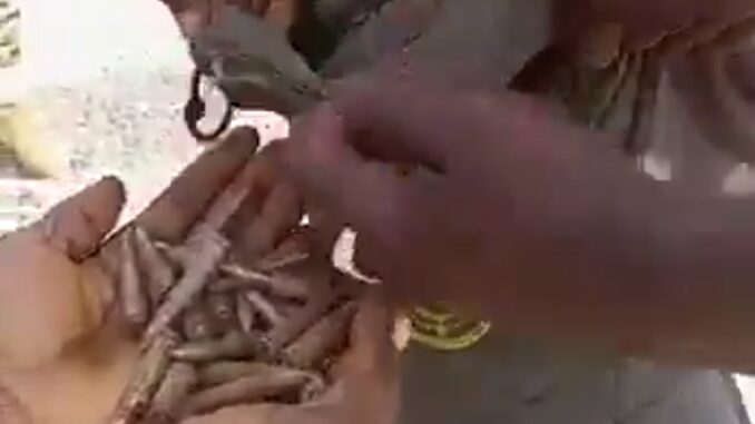 Screenshot_20240323-114430