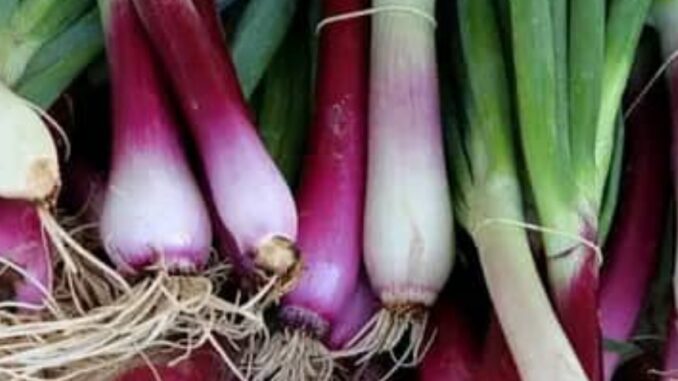 Screenshot_20240426-120740