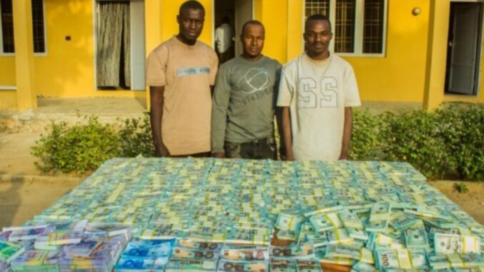 Screenshot_20241210-202951