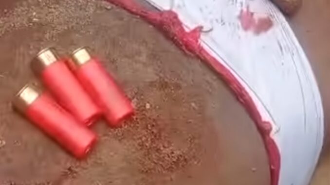 Screenshot_20250909-125925