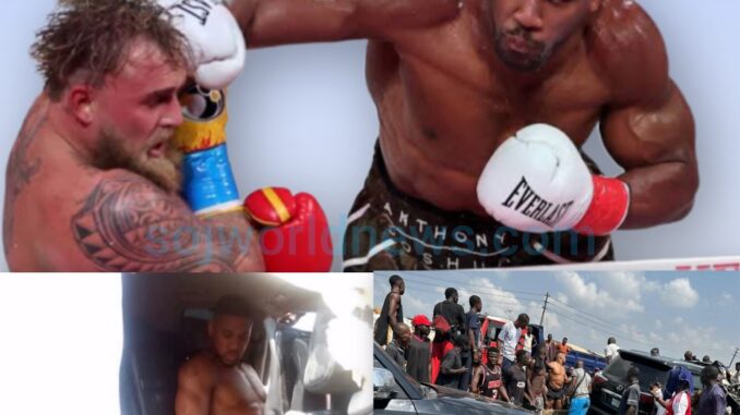 InShot_20251229_135423605