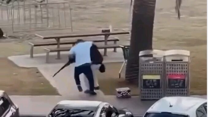 Couple tries to stop attack