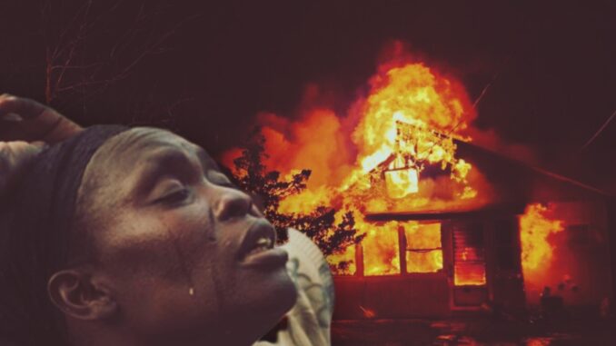 InShot_20260103_94844325