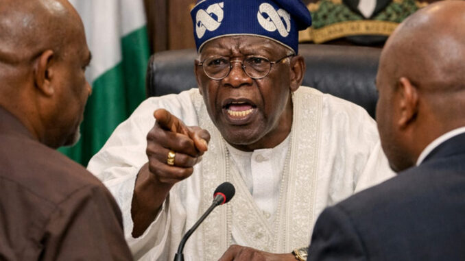 InShot_20260203_160700948