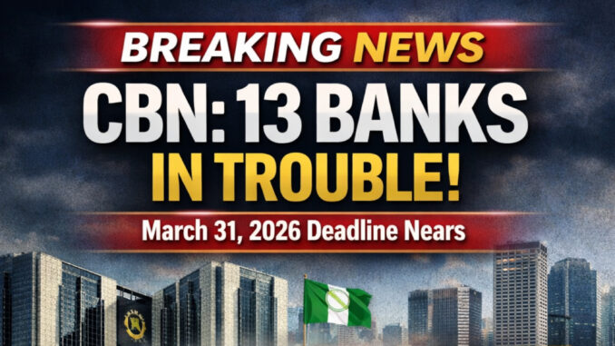 InShot_20260226_171106885