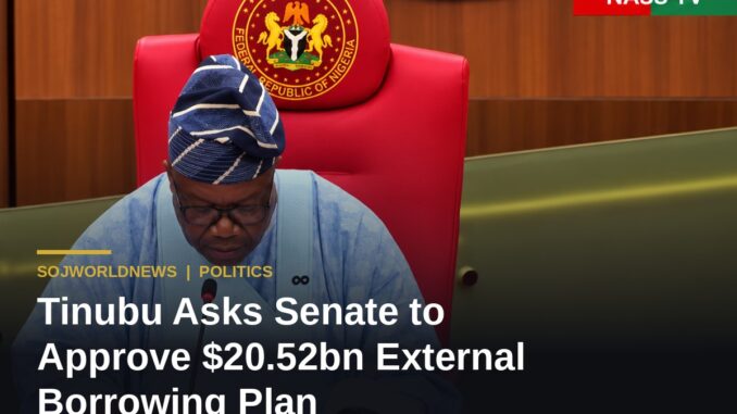 tinubu-external-borrowing-header-4x3